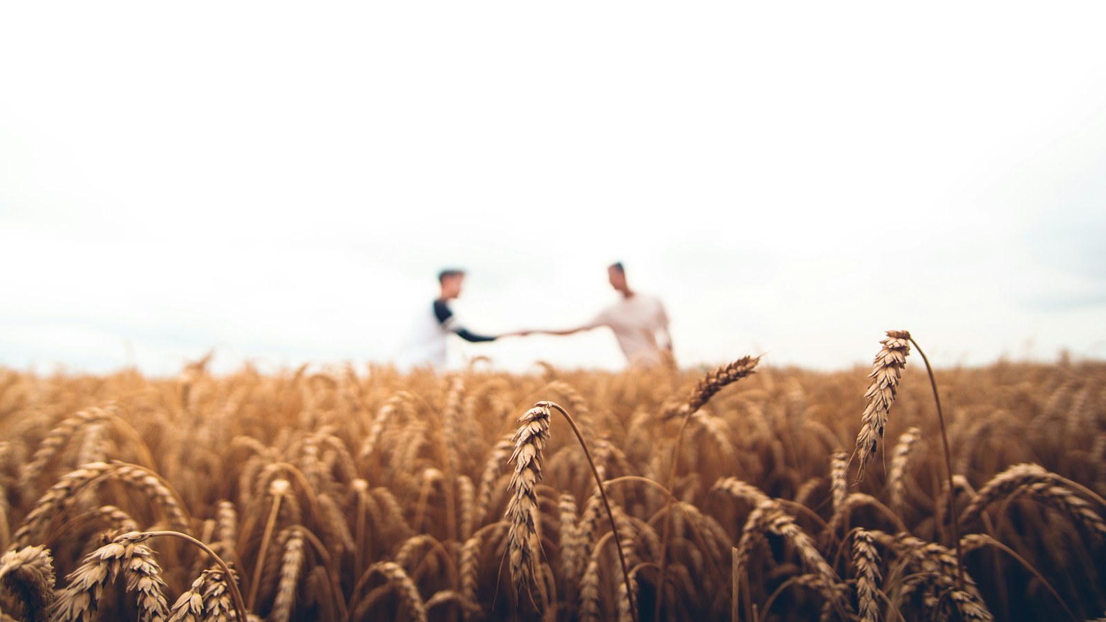 Payroll Software for Agricultural Businesses & Farms (2026): Form 943 & H-2A Compliance